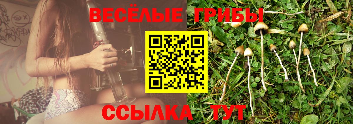 Псилоцибиновые грибы Magic Shrooms  Вход с VPN  Михайловка 